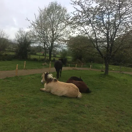 Camping Unique 70s Caravan, Calm And Relaxed *